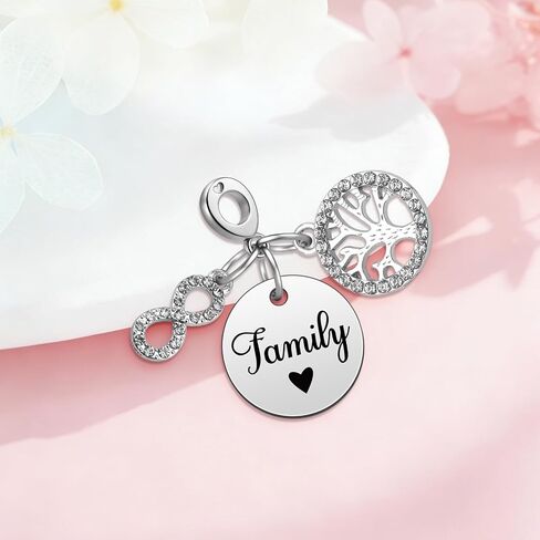 Heigebi Charms for Bracelets and Necklace Beads Dangle Mother's Day Birthday Jewelry Beads Charm for Women Sister Family Friends Daughter Mother Grandma Jewelry Present Stainless Steel Pendant in Saudi Arabia