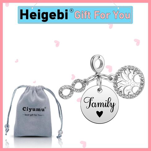 Heigebi Charms for Bracelets and Necklace Beads Dangle Mother's Day Birthday Jewelry Beads Charm for Women Sister Family Friends Daughter Mother Grandma Jewelry Present Stainless Steel Pendant in Saudi Arabia