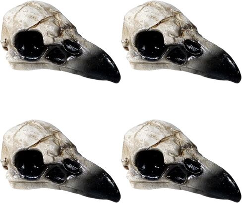 Bbiamsleep 4 Pcs Halloween Raven Skull Figurine Gothic Raven Animal Skulls Resin Raven Skulls Statue for DIY Projects Gothic Halloween Bird Bone Skeleton Decor(Black) in Kuwait