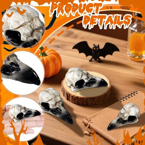 Bbiamsleep 4 Pcs Halloween Raven Skull Figurine Gothic Raven Animal Skulls Resin Raven Skulls Statue for DIY Projects Gothic Halloween Bird Bone Skeleton Decor(Black) in Kuwait