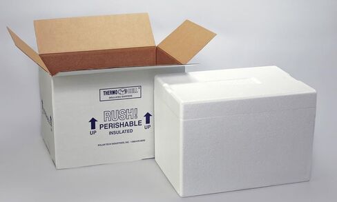 Polar Tech 246C Thermo Chill Insulated Carton with Foam Shipper, Medium, 17" Length x 10" Width x 10-1/2" Depth in Kuwait