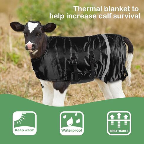 Dunzy 4 Pcs Winter Calf Blanket Calf Warm Clothes Waterproof Calf Warming Blanket Windproof Calf Jacket Livestock Calf Saver Coat for Keeping Cow Warm Thickened Belly Protection (Heavy Fleece Style) in Kuwait