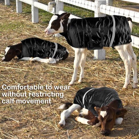 Dunzy 4 Pcs Winter Calf Blanket Calf Warm Clothes Waterproof Calf Warming Blanket Windproof Calf Jacket Livestock Calf Saver Coat for Keeping Cow Warm Thickened Belly Protection (Heavy Fleece Style) in Kuwait