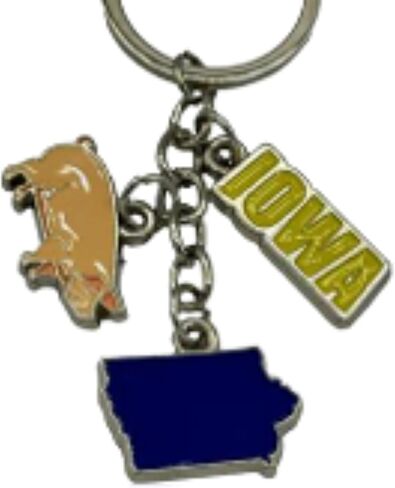 Westmon Works Iowa Keychain Metal Vacation Souvenir Key Ring with Colorful Enamel Pig State Map and IA Charms in Saudi Arabia