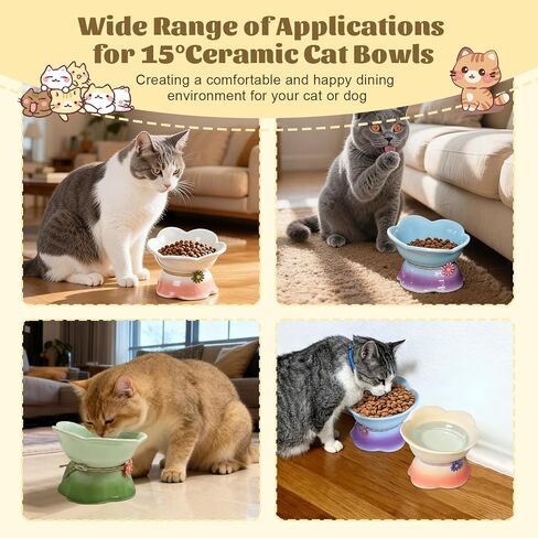 4 قطع من وعاء القطط المرتفع من السيراميك، أطباق طعام القطط المائلة، أطباق طعام الحيوانات الأليفة، وعاء تغذية الحيوانات الأليفة، وعاء القطط اللطيف للقطط والجراء الصغيرة، شعيرات الكلاب الصغيرة، حماية العمود الفقري للقطط (لون متدرج) in Kuwait