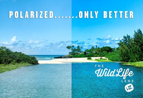 VonZipper Elmore Men's Polarized Casual Sunglasses/Eyewear - Color: Black Gloss/Grey Poly, Size: One Size Fits All in Kuwait