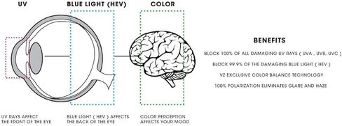 VonZipper Elmore Men's Polarized Casual Sunglasses/Eyewear - Color: Black Gloss/Grey Poly, Size: One Size Fits All in Kuwait