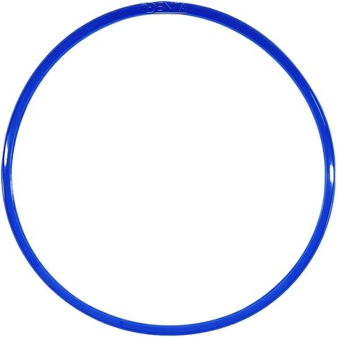 3870-D chamber gasket blue (GAS080-0317) Autoclave door gasket sterlization Chamber seal parts in Kuwait