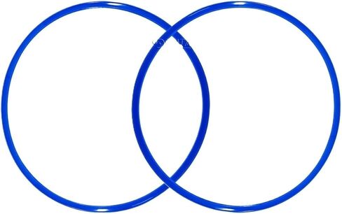 3870-D chamber gasket blue (GAS080-0317) Autoclave door gasket sterlization Chamber seal parts in Kuwait