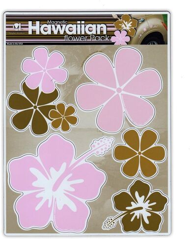 مجموعة متنوعة من المغناطيسات (5 مغناطيسات) - زهور هاواي الوردية/البنية (هاواي) - الثلاجات، والسيارات، وصناديق البريد، والديكور - بعرض 2 بوصة إلى 3.5 بوصة (كل زهرة) in Kuwait