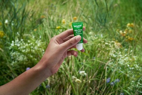 Weleda Skin Food Lip Butter, 0.27 Ounce, Plant Rich Moisturizing Lip Care with Sunflower Seed Oil, Chamomile and Calendula in Kuwait