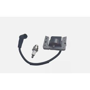 34443A Ignition Coil for Tecumseh 34443 34443B 34443C 34443D Ignition Coil Solid State Module-Tecumseh AV520 LH195 OH195 TH139 TV085 TVM140 TVXL840 VLV126 LEV100 LEV115 LEV120 LV148A LV195EA OVRM105 in Kuwait