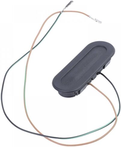 Tailgate Switch Trunk Lid Button 5019203AA 5080529AA Compatible with Pacifica Voyager Town Country Caravan in Kuwait