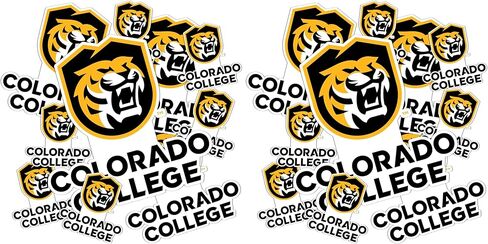 Desert Cactus Colorado College Sticker Tigers CC Stickers Vinyl Decals Laptop Water Bottle Car Scrapbook T3 (Type 3-1) in Saudi Arabia