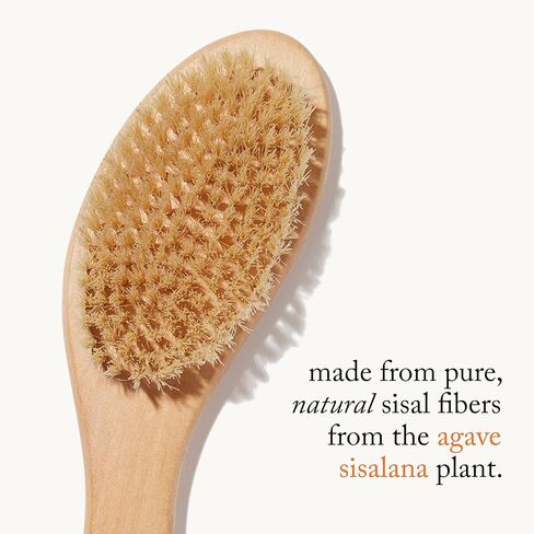 goop Beauty Dry Brush | Exfoliating & Detoxifying for Dry Skin | Wooden Brush with Natural Biodegradable Sisal Fibers | Sweeps Away Dead Skin Cells for Luminous, Smooth Skin | FSC-Certified in Kuwait