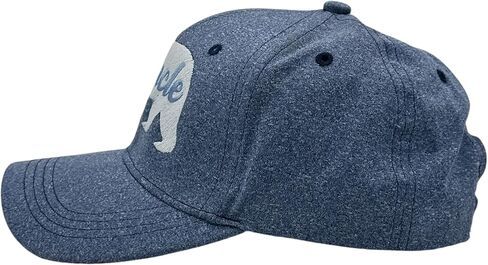 Uncle Bear Hat Funny Sarcastic Graphic Novelty Cap Funny Hats Uncle Cool Sarcastic Novelty Caps for Men Blue - Standard in Saudi Arabia