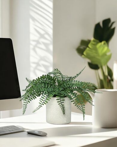 نبات السرخس الاصطناعي من دوهاوس، نباتات خضراء وهمية في وعاء، نبات صناعي للمنزل والمكتب والرف والحمام والمطبخ والمزرعة لتزيين سطح الطاولة in Kuwait