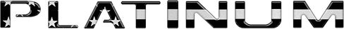 Tailgate Letter Inserts - Compatible with 2015-2017 F-150 in Saudi Arabia