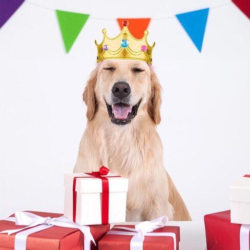 18 Pieces DIY Crowns Set Include 6 Pieces Foam Princess Crowns and 12 Pieces Crystal Diamond Sticker for Kids in Kuwait