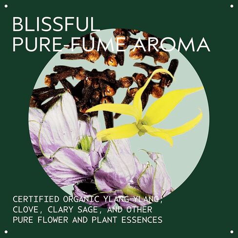 AVEDA Control Paste, 2.50 Ounce in Kuwait