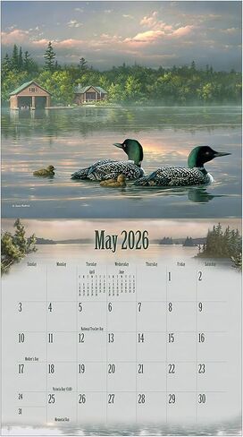 Legacy Publishing Group 2026 Wall Calendar 12-Month Schedule Organizer 12 x 13 Inch Paper With Brass Grommet Wildlife in Saudi Arabia