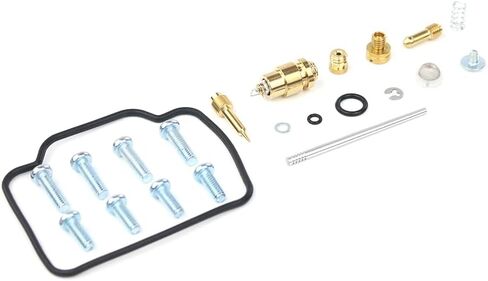 Complete Carburetor Repair Kit Compatible with 1998 1999 2000 Arctic Cat 300 2x4 / 4x4 in Saudi Arabia