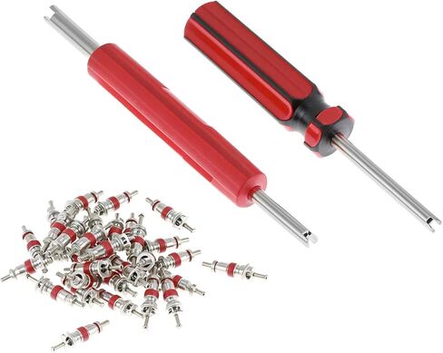 QWORK Tire Repair Tool Set, Dual & Single Head Valve Core Remover Tools, 100 Replacement Valve Stem Cores, Copper Nickel-Plated, Compatible with Cars, Trucks, Motorcycles in Saudi Arabia