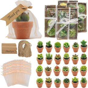 24 قطعة من الشموع النضرة من AZEAM هدايا الحفلات، ديكور طاولة الصبار السائبة مع حوامل تيراكوتا صغيرة، شموع نباتية صغيرة مصنوعة يدويًا لتزيين الشموع للاستحمام ولعبة الزفاف وحفلات الزفاف وأعياد الميلاد in Kuwait