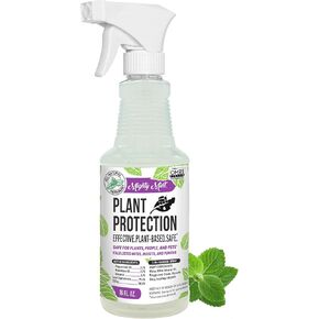 Mighty Mint 32oz Peppermint Plant Protection Spray for Spider Mites, Insects, Gnats, Fungus, and Disease in Kuwait