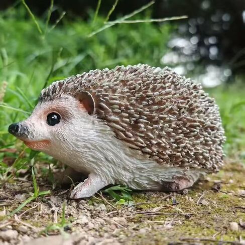 Lifelike Hedgehog Garden Statue, Adorable Detailed Figurine Made of Resin for Outdoor Garden Bed, Pathway, Patio Decor, Cute Indoor Shelf Desk Ornament, Charming Birthday Gift for Animal Lovers in Saudi Arabia