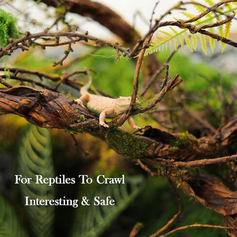 1 قطعة 79 بوصة كبيرة قابلة للانحناء قرون غزال صناعية طويلة للحرف اليدوية معلقة على الحائط من أشجار الغابة المجعدة والصفصاف الطويلة فروع الغابات شجرة جذع الخشب زينة عيد الميلاد لعيد الهالوين ديكور عيد الفصح in Kuwait