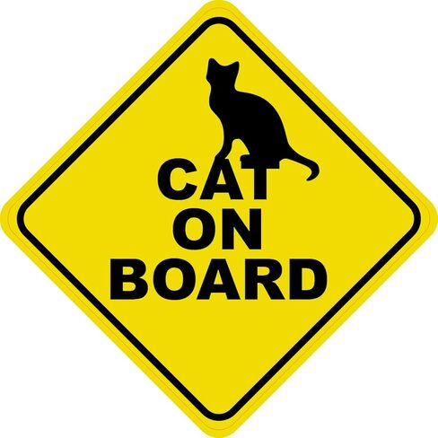 StickerTalk Cat on Board Magnet, 5 inches by 5 inches in Saudi Arabia