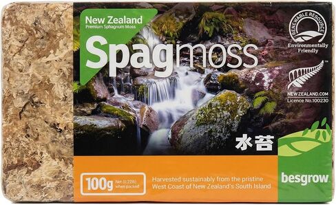 besgrow New Zealand Sphagnum Moss (100 Grams) in Kuwait