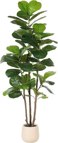 Realead 6ft Fiddle Leaf Fig Tree Artificial with Tall Exquisite Planter - Tall Faux Fiddle Leaf Fig Tree with Natural Trunk and Lifelike Leaves - Fake Fig Tree for Home Living Room Indoor Decor in Saudi Arabia
