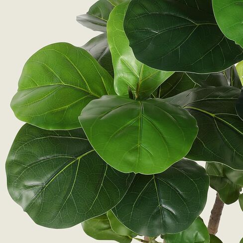 Realead 6ft Fiddle Leaf Fig Tree Artificial with Tall Exquisite Planter - Tall Faux Fiddle Leaf Fig Tree with Natural Trunk and Lifelike Leaves - Fake Fig Tree for Home Living Room Indoor Decor in Saudi Arabia