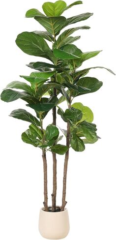 Realead 6ft Fiddle Leaf Fig Tree Artificial with Tall Exquisite Planter - Tall Faux Fiddle Leaf Fig Tree with Natural Trunk and Lifelike Leaves - Fake Fig Tree for Home Living Room Indoor Decor in Kuwait