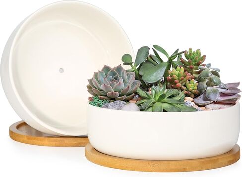 ZOUTOG Succulent Pots, 3 inch Ceramic Mini Succulent Planter Pot, Geometric Pattern Round Small Flower Pots with Drainage and Bamboo Tray, Pack of 6 - Plants Not Included in Kuwait