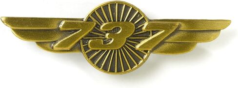 Boeing 737 Wings Pin in Kuwait