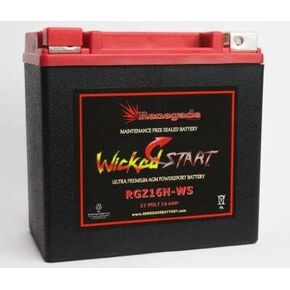 بطارية مركبة؛ RGZ16H-WS 350+ CCA's: يناسب Honda (2020، 2021، 2022، 2023) TRX520FA FourTrax Foreman Rubicon / TRX520FM FourTrax Foreman Rubicon in Kuwait