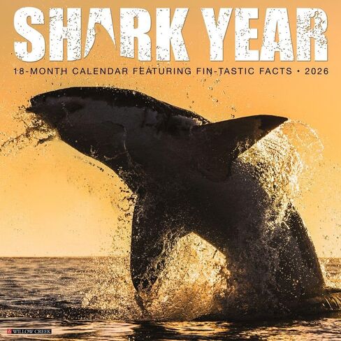 Willow Creek Press, Shark Year 2026 Wall Calendar, 12'' X 12'', 18-Month Calendar with Stapled Binding in Saudi Arabia