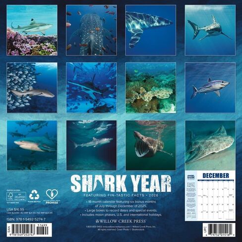 Willow Creek Press, Shark Year 2026 Wall Calendar, 12'' X 12'', 18-Month Calendar with Stapled Binding in Saudi Arabia
