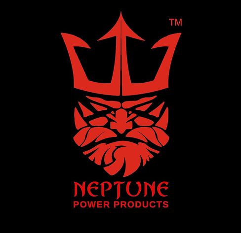 Neptune Power Professional YTX20HL-BS / YTX20L Battery Maintenance Free -(SLA) Sealed Lead Acid AGM ETX20HL BS Motorcycle Battery- Design-330CCA-13.67Lbs in Kuwait