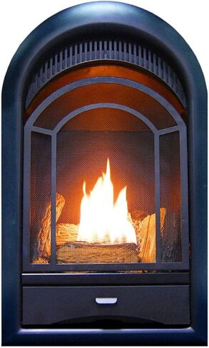 ProCom Dual Fuel Ventless Gas Fireplace Insert - Arched Door, 10,000 BTU, T-Stat Control - Model# PCS100T in Kuwait