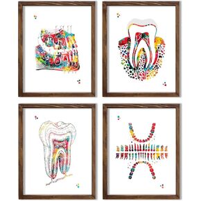 Dental Watercolor Art Prints Orthodontist Dentist Dentistry Assistant Student Wall Art Decor Gifts Dental Office Wall Art Decor Dental Hygienist Gifts 8x10 Unframed Print Set in Kuwait