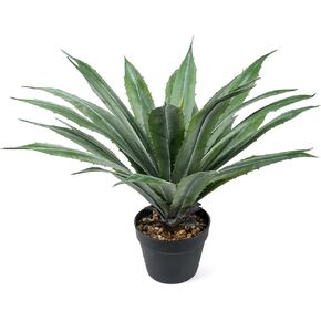 نبات الصبار الاصطناعي فيلينر في وعاء أسود مع حصى حجرية حقيقية، نباتات صبار وهمية كبيرة بأوراق مسننة خضراء، يوكا صناعية للديكور الداخلي والخارجي - طول 17 بوصة، 29 ورقة in Kuwait