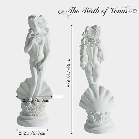 تمثال أفروديت ولادة فينوس على نصف هيكل 7.6 بوصة - منحوتة الآلهة الرومانية اليونانية، تمثال فني مصنوع يدويًا من الراتنج تمثال أبيض كلاسيكي، ديكور المنزل والمكتب in Kuwait