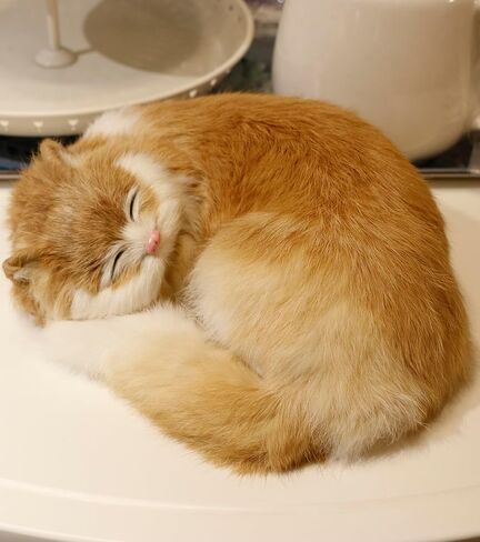 Realistic Furry Sleeping Cat Figurines,Fake Kitten, Animal Figurines Pet Replica Tabletop Shelf Decor Photo Props Collectible (Yellow) in Saudi Arabia