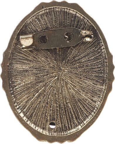 1pc Queen Lady Vintage Victorian Cameo Black Enamel Bronze Brooch Pin in Kuwait