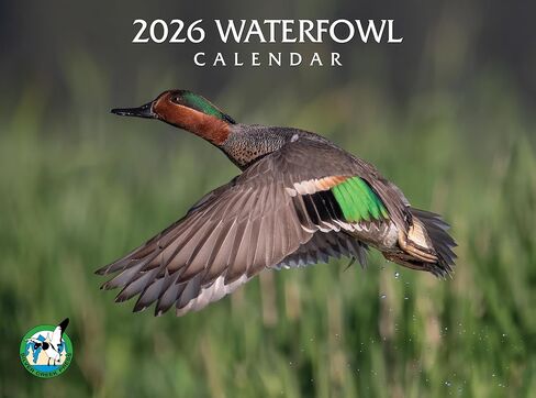 2026 تقويم حائط الطيور المائية in Kuwait