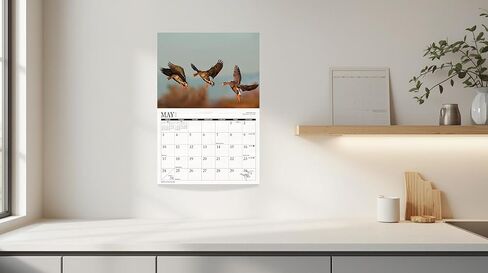 2026 تقويم حائط الطيور المائية in Kuwait